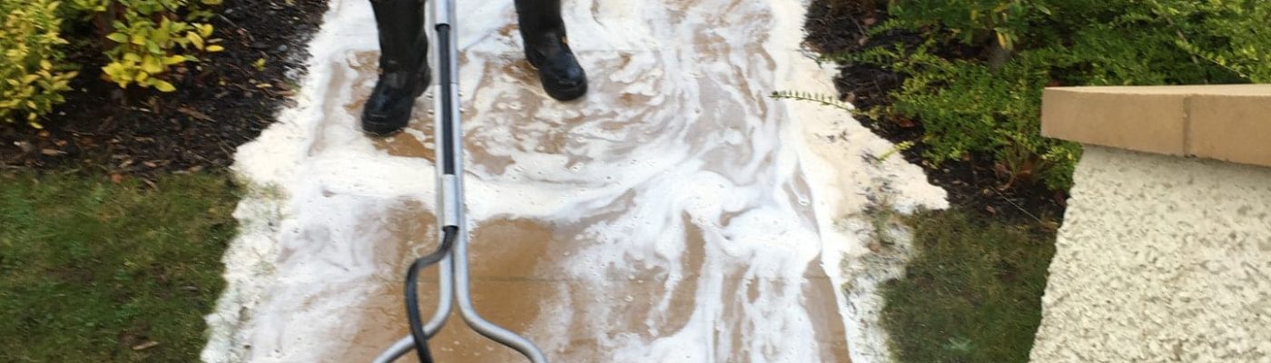 A person is meticulously using a professional surface cleaner for patio cleaning on a soapy stone pathway outside a house. The path is framed by lush shrubs, with steps leading up to it, ensuring a sparkling outdoor entrance.